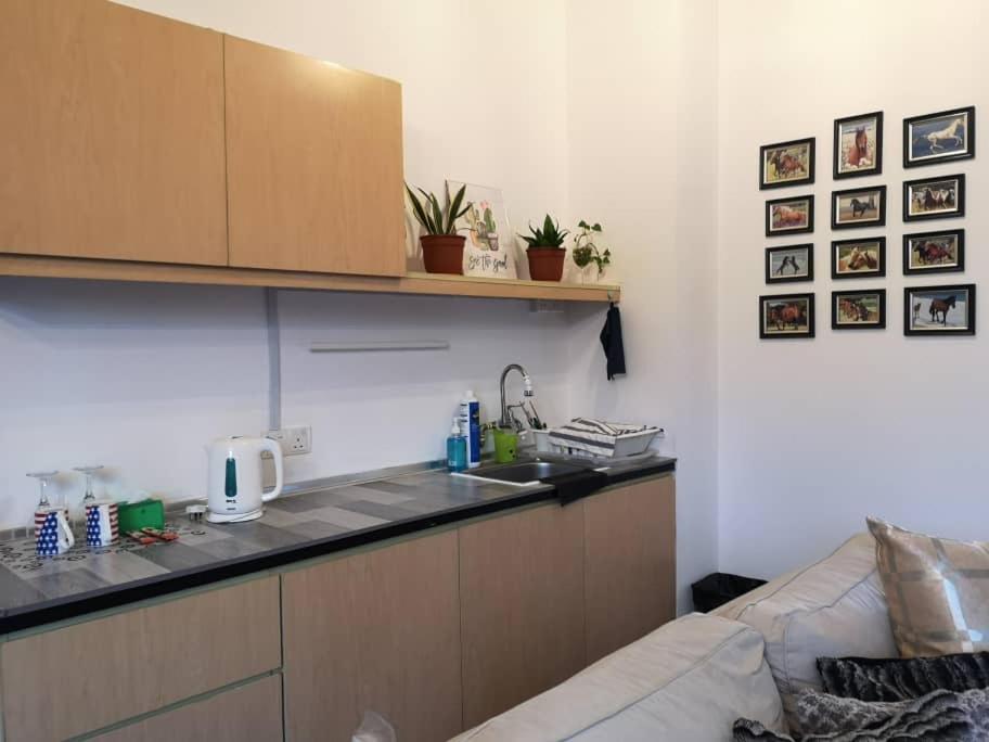 Empire Damansara Homes By Cities Homes Malaysia ペタリンジャヤ エクステリア 写真